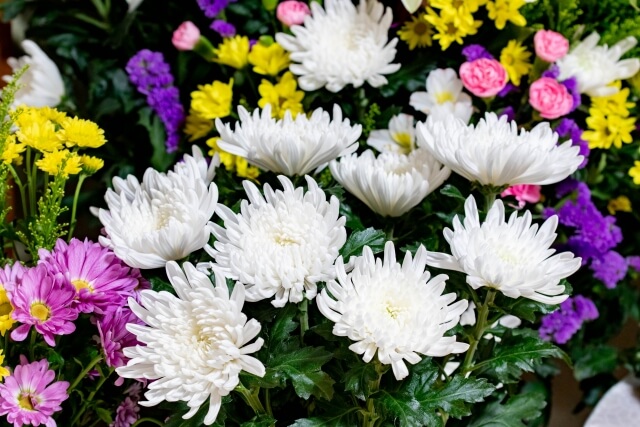 家族葬に適した花の種類